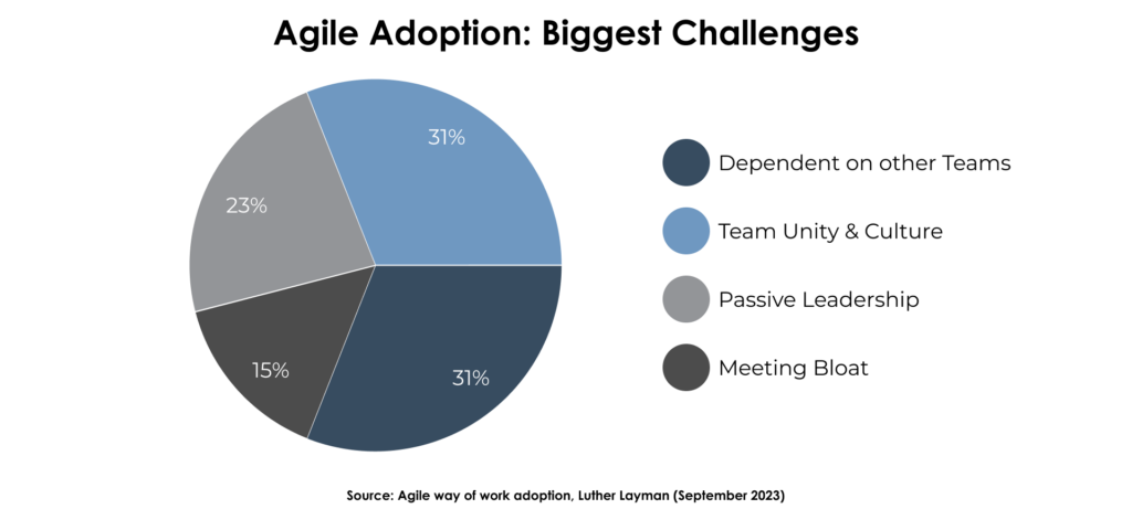 Agile Adoption Challenges - Survey Results